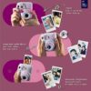 Fujifilm Instax Mini 12 Instant Camera + MiniMate Accessory Bundle & Compatible Custom Case + Fuji Instax Film Value Pack (50 Sheets) Flamingo Designer Photo Album (Lilac Purple) - Image 5